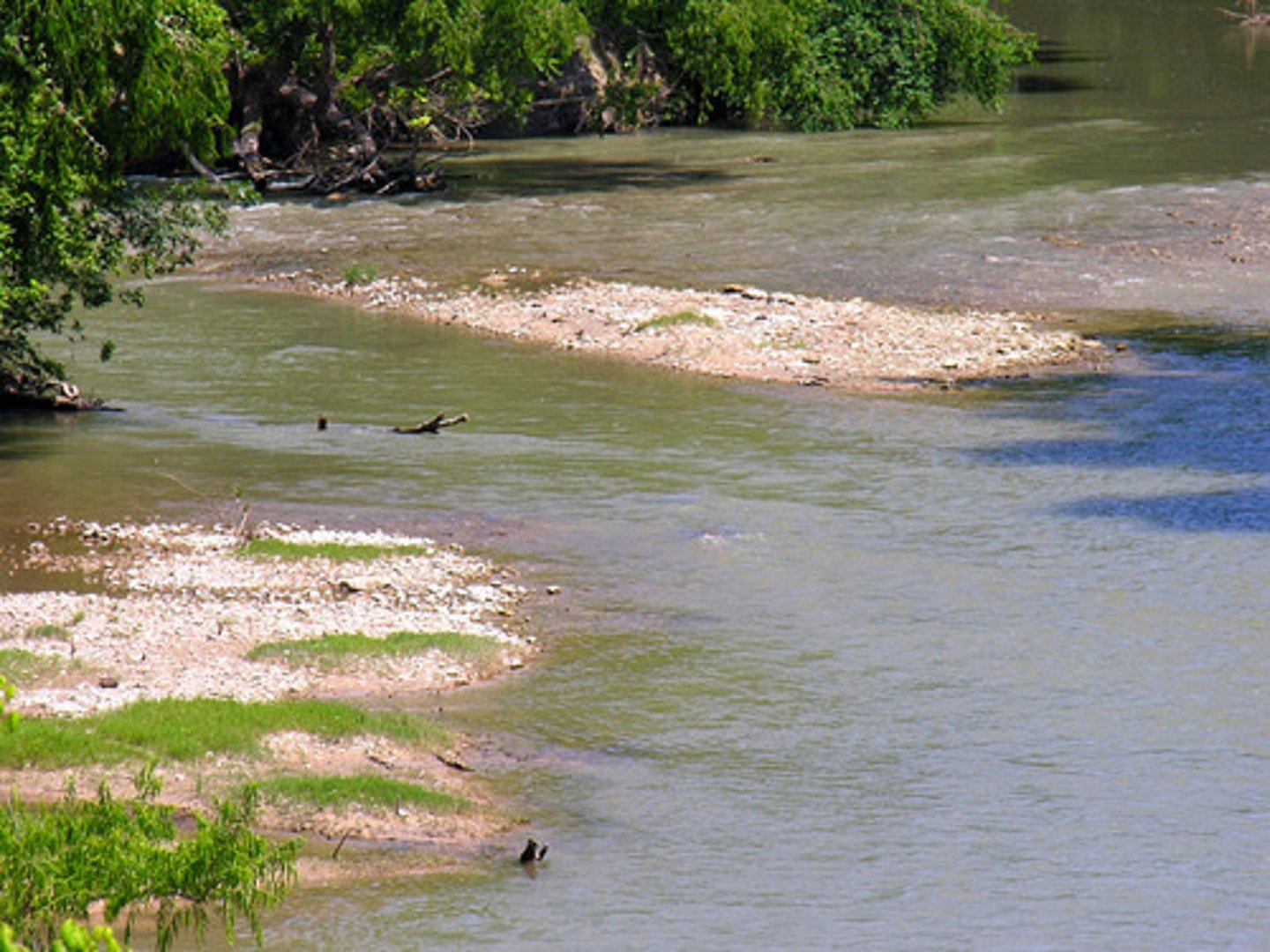 <p>The greatest thickness of river-deposited material</p>