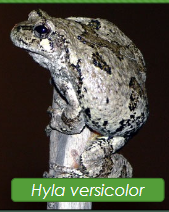 <p>What is this?</p>