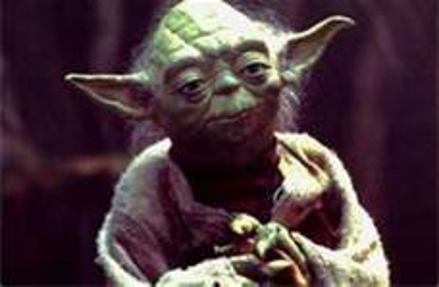 <p>señor viejo e inteligente</p>