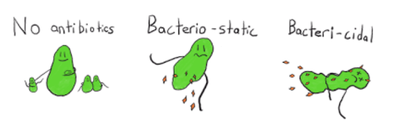 <p>Antibiotics are anti-bacterial agents</p>