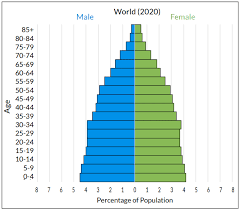 <p>a bar graph that displays the number of people in each age category </p><p>→ usually males are to the left, and women are to the right</p>
