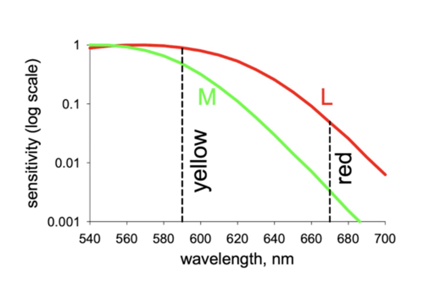 <p>protonopes will be very insensitive to red</p>