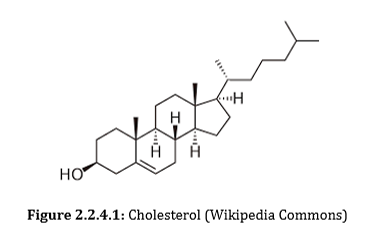 <p>Cholestrol will interfere with the closely packed structure of saturated fats, allowing for increased fluidity. It can also fill in gaps in phospholipids with unsaturated/short tails. It will keep the membrane fluid while maintaining the rigidity of the membrane.</p>