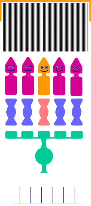 <p>Why does this visual image fire little neurons in the receptive field</p>