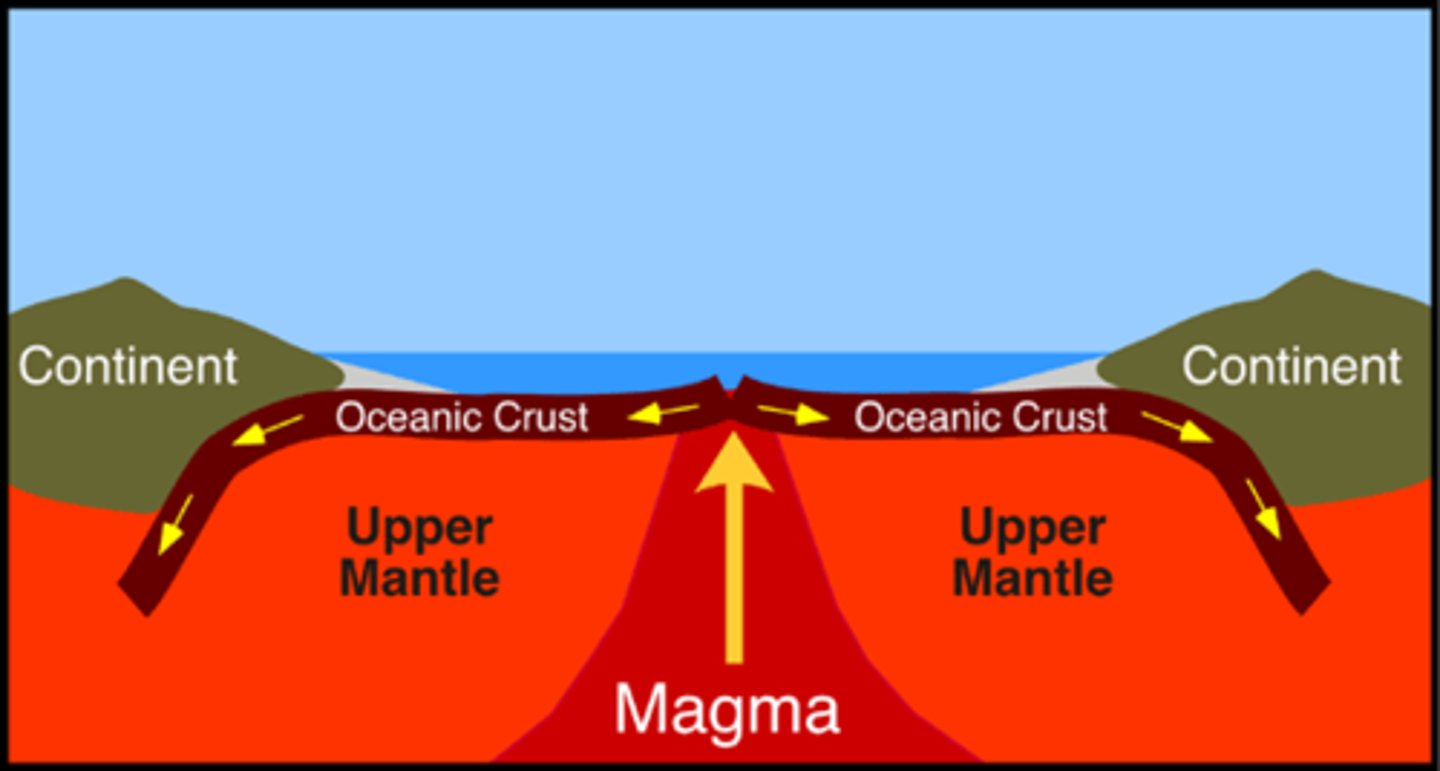 <p>The process that creates new sea floor as plates move away from each other at the mid-ocean ridges</p>