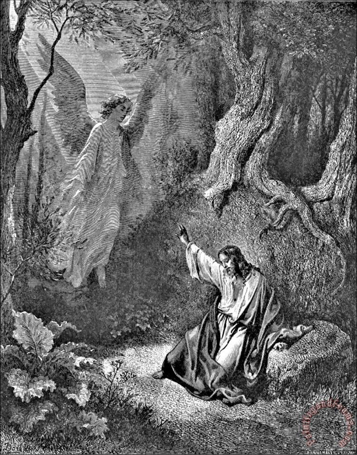 <p>Which French printmaker/illustrator made over 250 illustrations for the Bible using reference books to construct the scenes?</p>