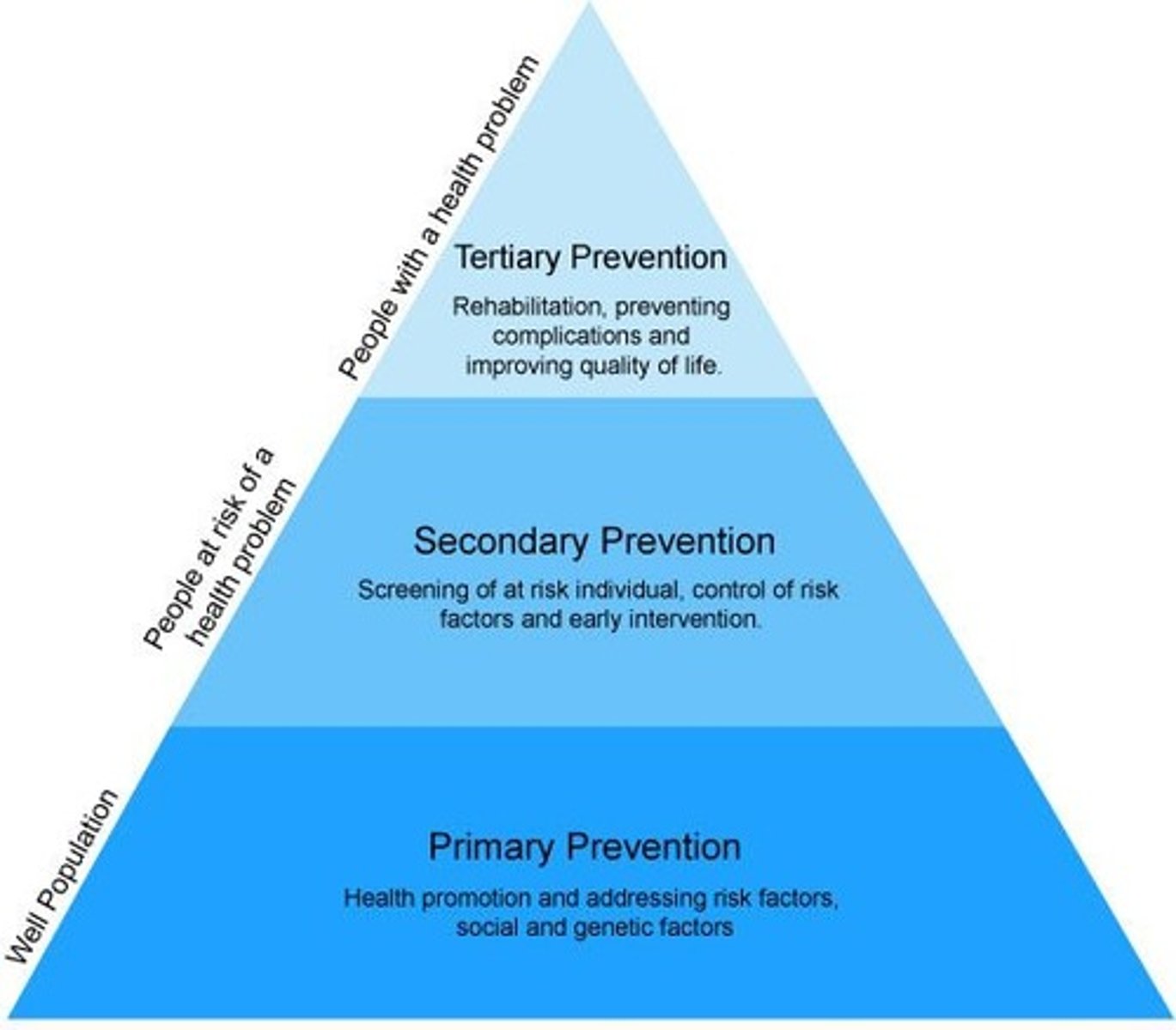 <p>Primary, secondary, tertiary</p>
