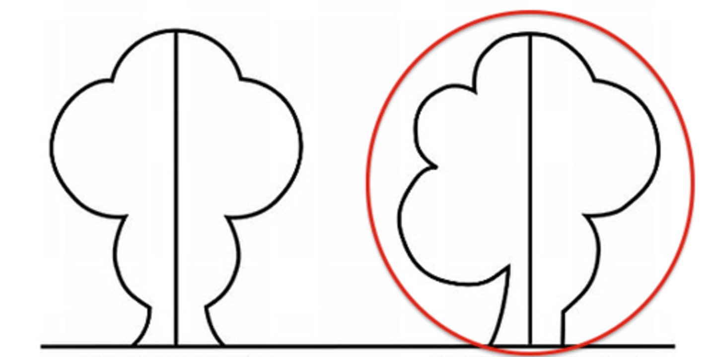 <p>n.不对称，不平衡</p>