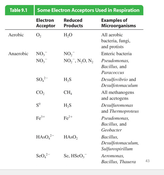 <p>Anaerobic:</p><p>Nitrate</p><p>Sulfate ion</p><p>Carbon Dioxide</p><p>Iron</p><p>hydrogen arsenate</p><p>Selenate ion</p><p><strong>(Uses inorganic terminal electron acceptors)</strong> </p>