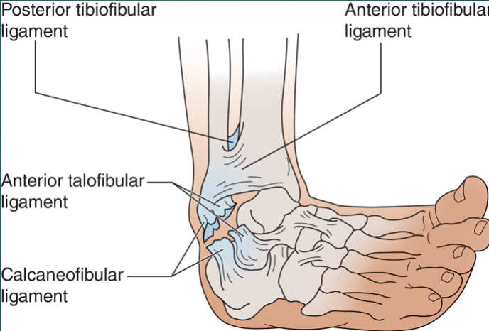What kind of injury is this
