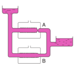 <ul><li><p class=""><strong>Explication par le modèle de la membrane en caoutchouc</strong> :</p><ul><li><p class="">En <strong>zone 3</strong>, la pression artérielle est <strong>plus forte</strong>, donc la perfusion est assurée.</p></li><li><p class="">En <strong>zone 2</strong>, la membrane en caoutchouc est influencée par la <strong>pression alvéolaire</strong>, ce qui <strong>réduit le flux sanguin</strong>.</p></li><li><p class="">En <strong>zone 1</strong>, la pression alvéolaire <strong>écrase les capillaires</strong>, empêchant toute perfusion.</p></li></ul></li></ul><p></p>
