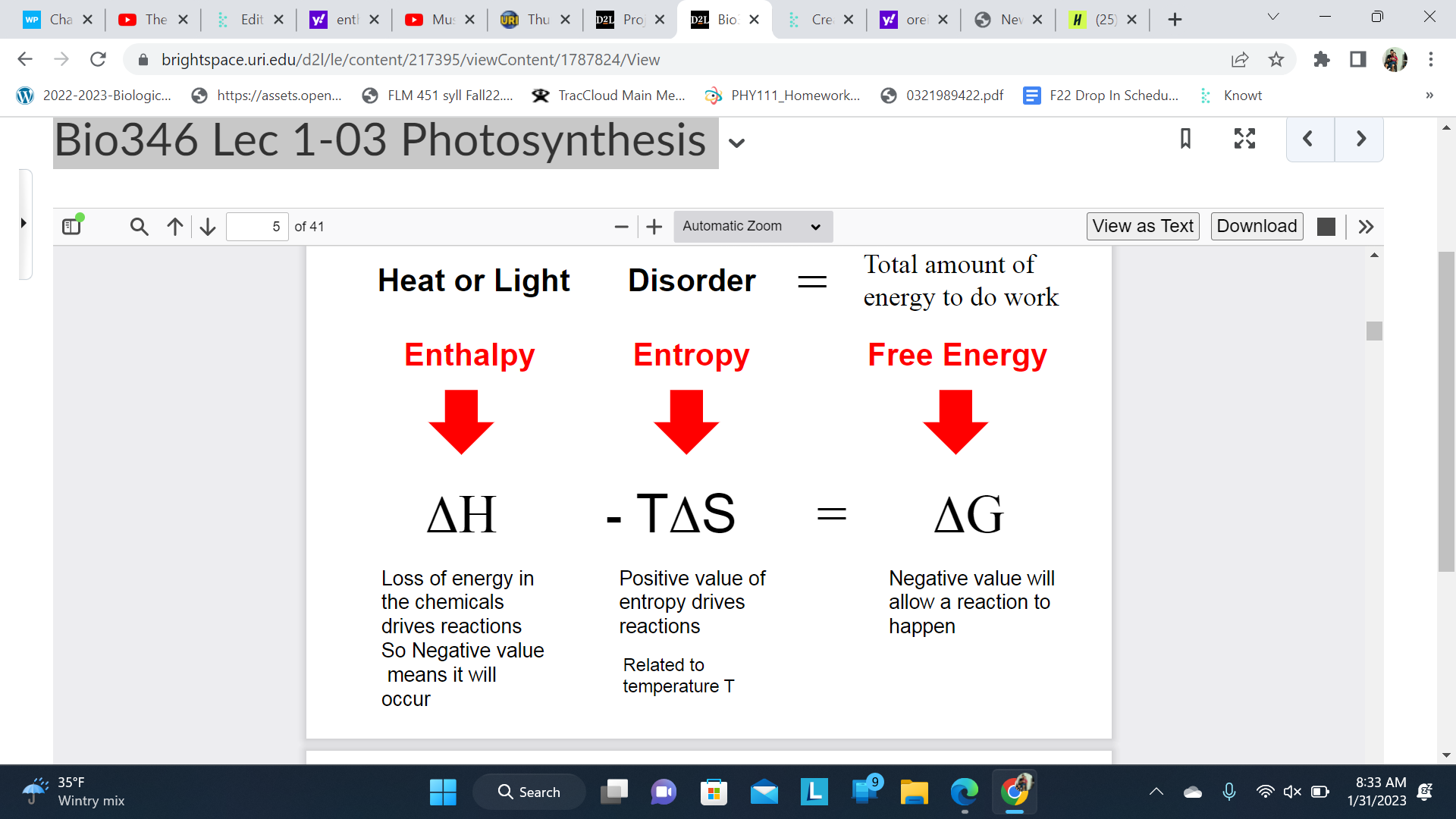Enthalpy(Heat and Loss)

\
Entropy(Disorder) 

\
Free Energy(Total amount of \n energy to do work)

\
