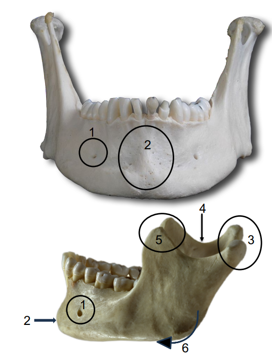 <p>What is 3</p>