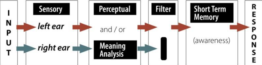 <p>All incoming stimuli are processed for meaning before any selection occurs for attention; no feature-based filtering occurs</p>