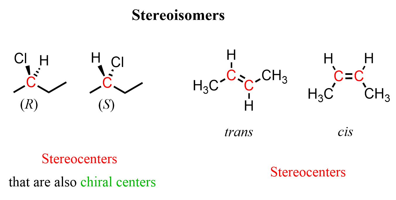 <p>an atom with the property that interchanging any two of its attached groups produces a different stereoisomer</p>