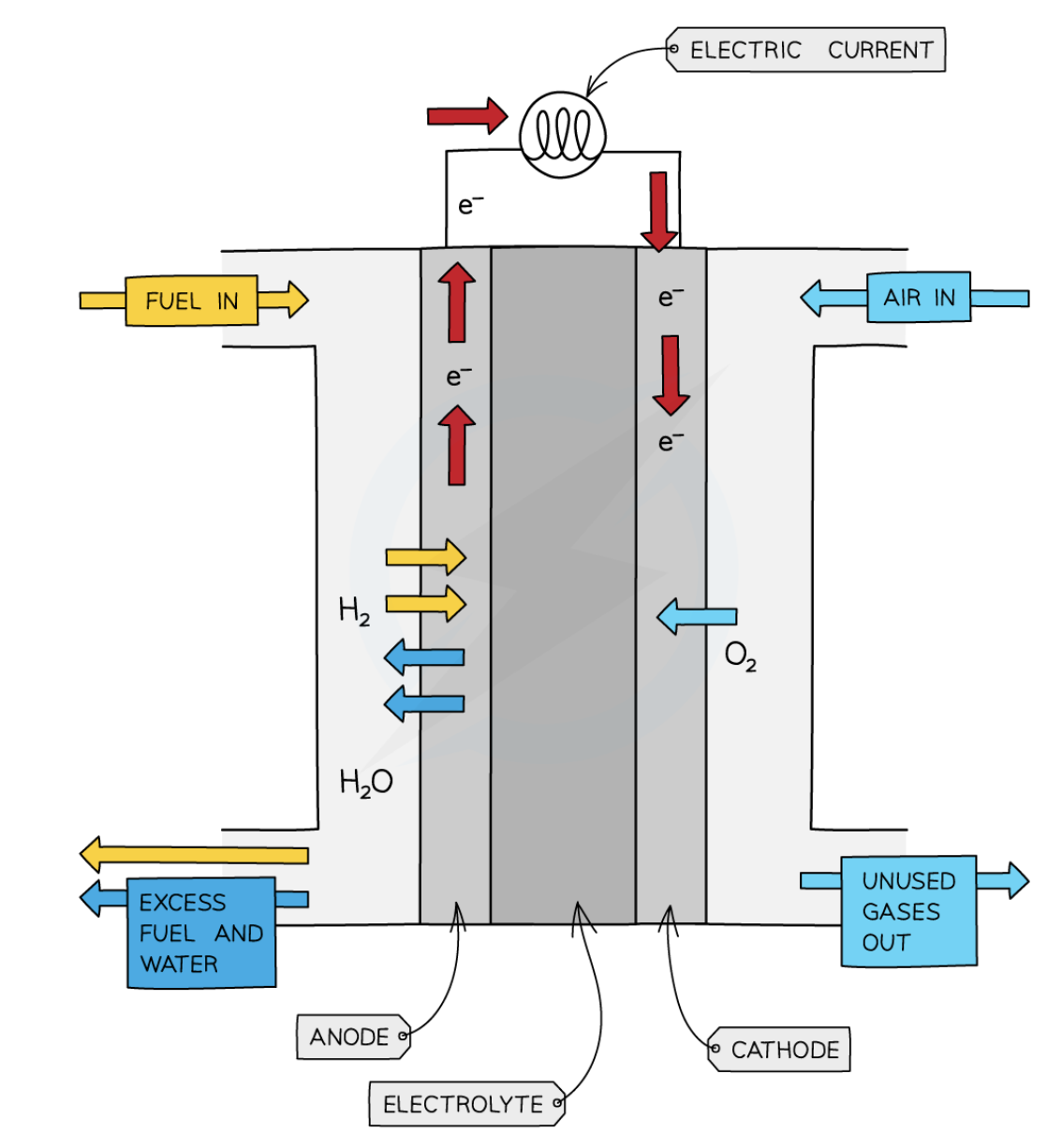 knowt flashcard image