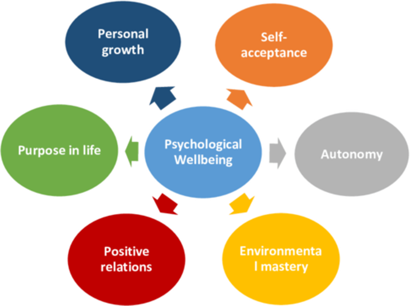 <p>6 dimensions </p><p>- the higher you are on the dimensions the higher your psychological wellbeing is overall </p><p>- e.g self-acceptance, autonomy, personal growth, purpose, pos relationships and environmental mastery </p>
