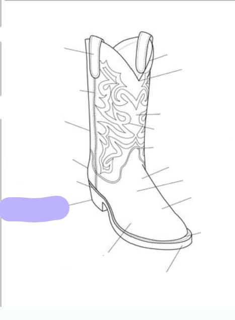 <p>What part of the boot is this? (labeled in purple)</p>