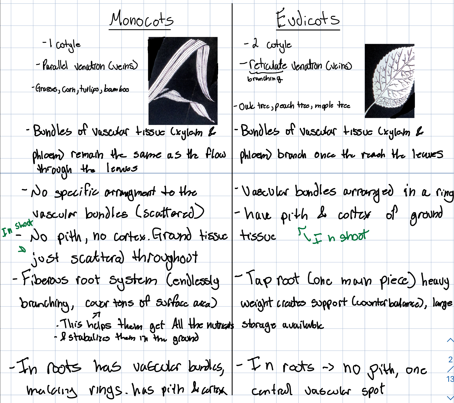 knowt flashcard image