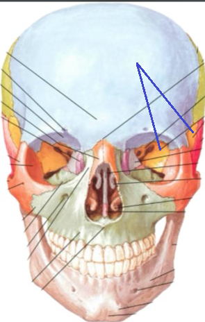 <p>Đây là chi tiết gì ?</p>