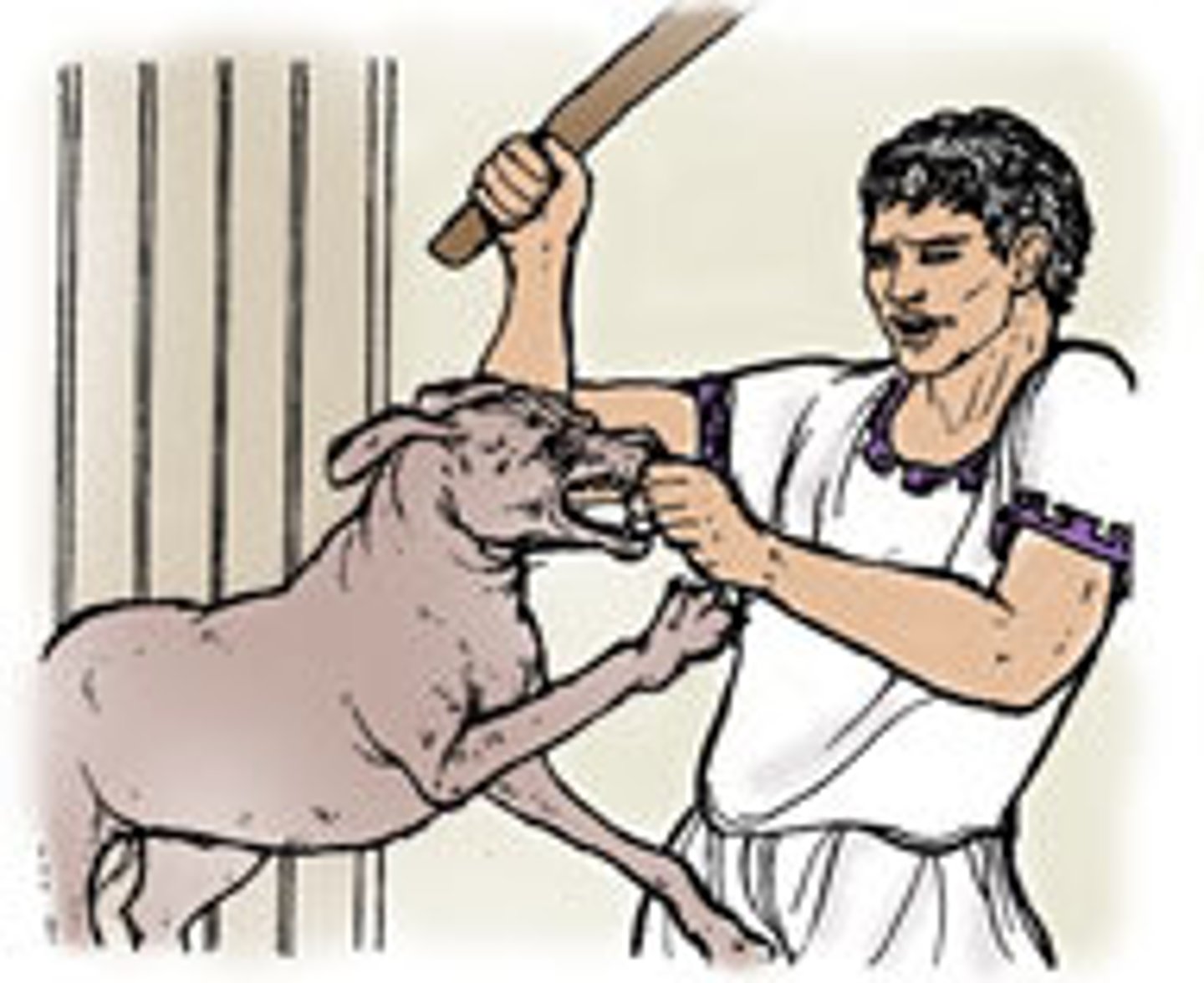 <p>Quintus hit the dog.</p>