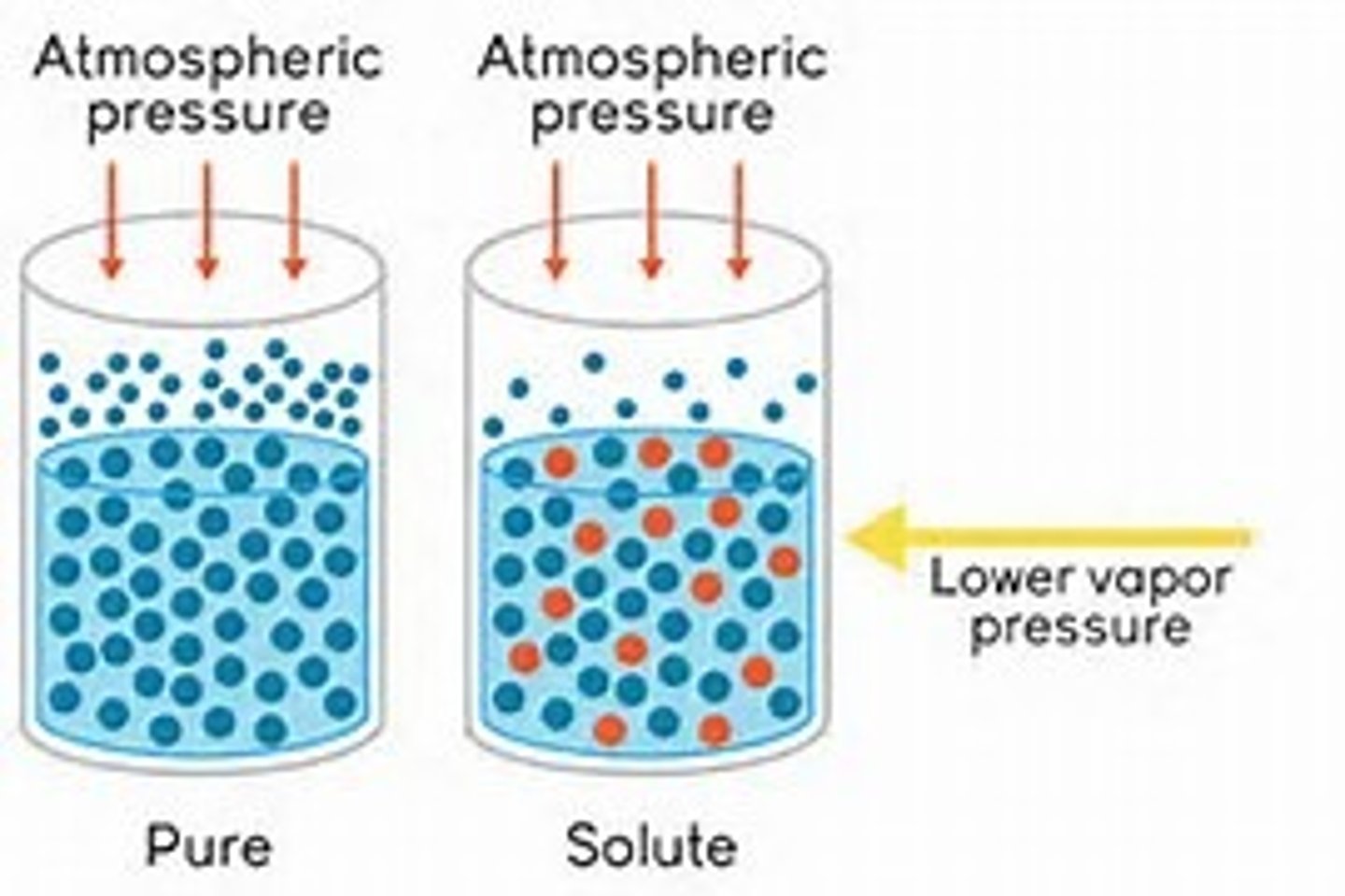 <p>Pressure exerted on the surface of a liquid by the vapor</p>