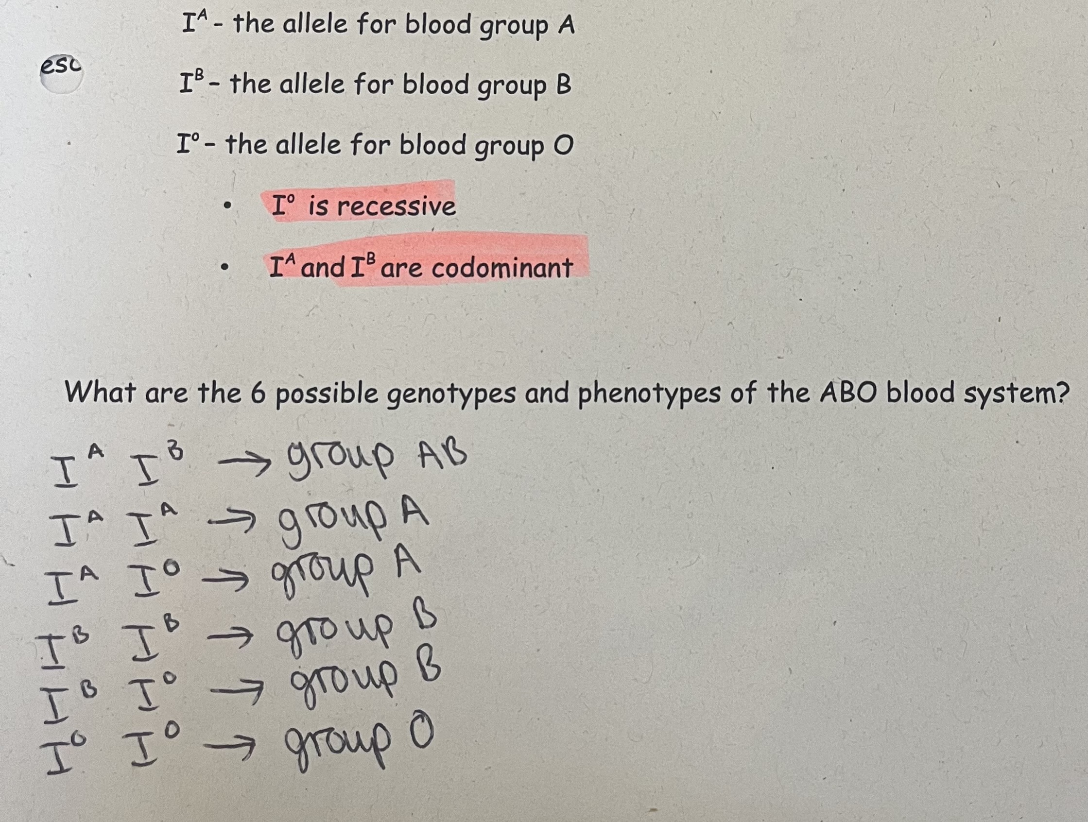 <p>The blood types - A , B , AB, O</p>