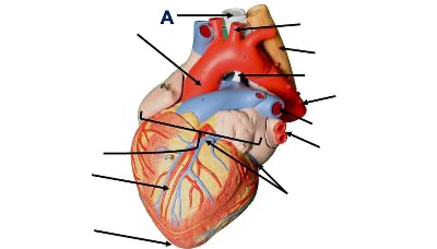 <p>What is this?</p>