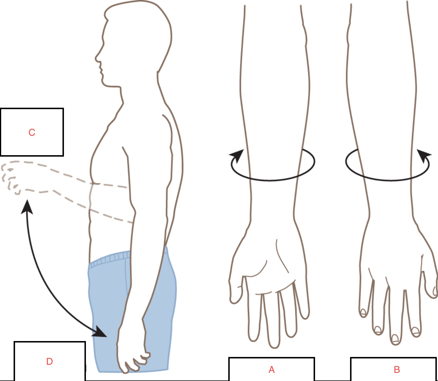 <p>A. </p>