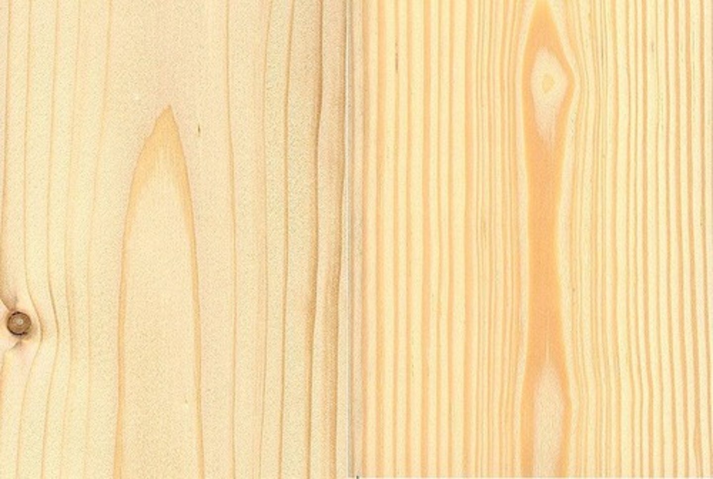 <p>Gymnosperm wood</p><p>- vessel members absent, tracheids and fibers only</p><p>- any light, easily cut wood (cone bearing or coniferous)</p><p>- typically used for decks (easier to hammer nails in)</p><p>- ex: Pine, Cedar, Redwood, etc.</p>