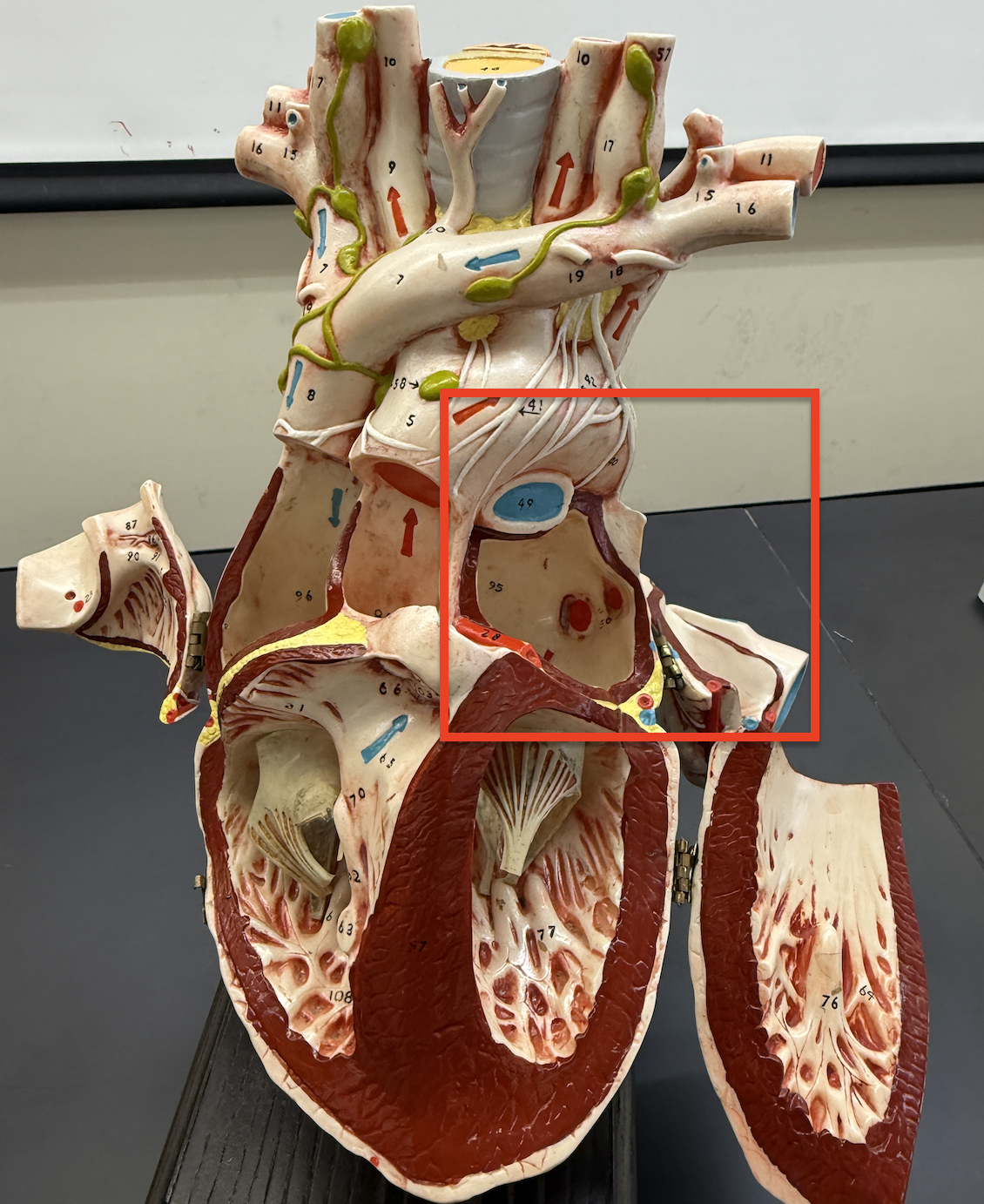 term image