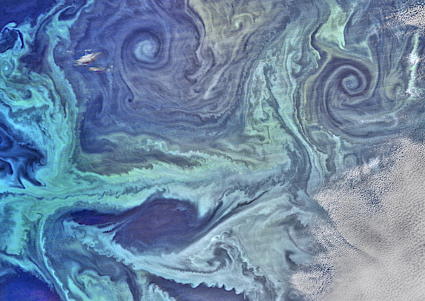 <p>Phytoplankton blooms in the Southern Oceans </p>