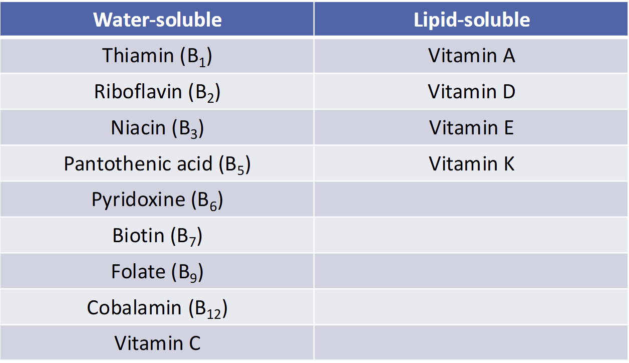 <p>Water Soluble</p><ul><li><p>All Vitamin B</p></li><li><p>Vitamin C</p></li></ul><p> </p><p>Lipid Soluble</p><ul><li><p>Vitamins A, D, E, K</p></li></ul><p></p>