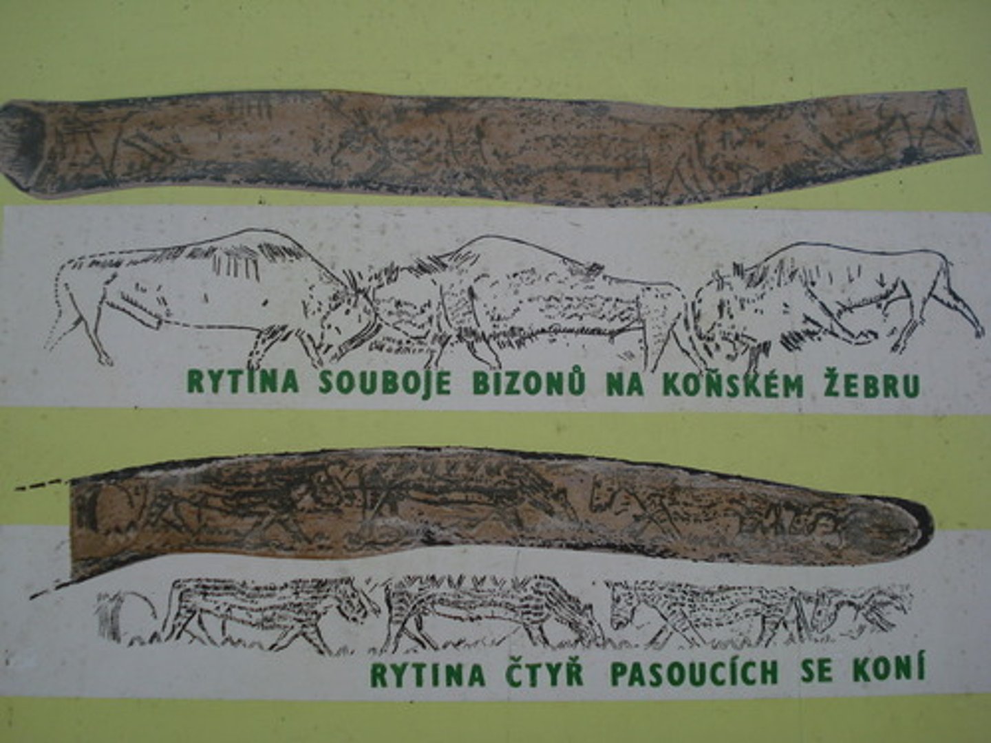 <p>Rytiny na konskych zebrech, Paleolit</p>