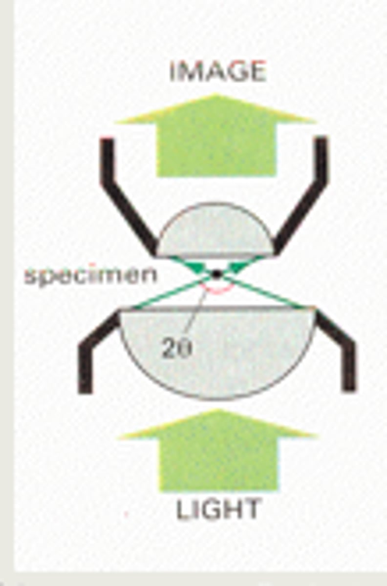 <p>Provides the main magnification (e.g., low/medium/high power).</p>