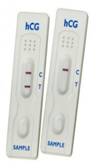 <p>On the T line there’s an antibody to hCG</p><p>If there’s hCG present, it will bind to the antibody &amp; cause the colour change</p>