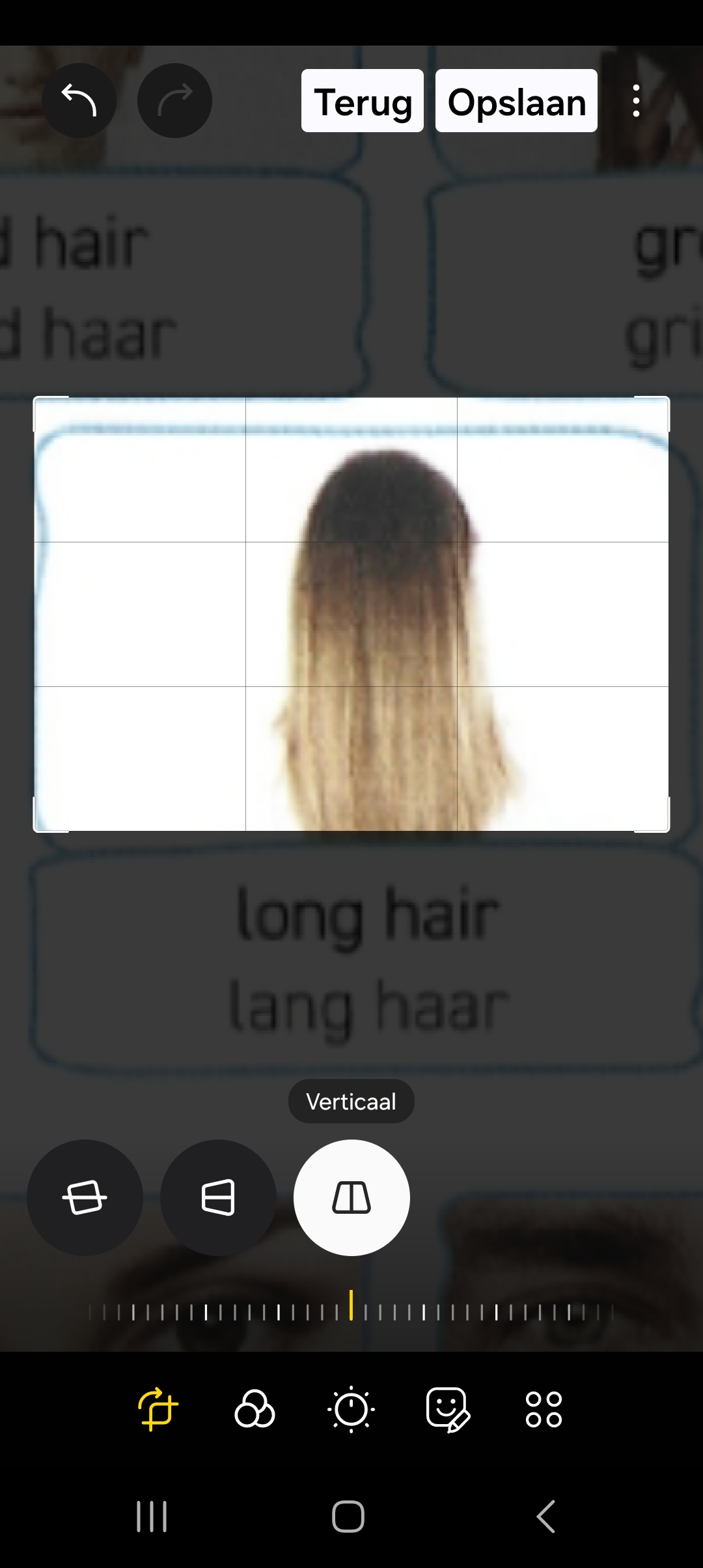 <p>Long hair</p>