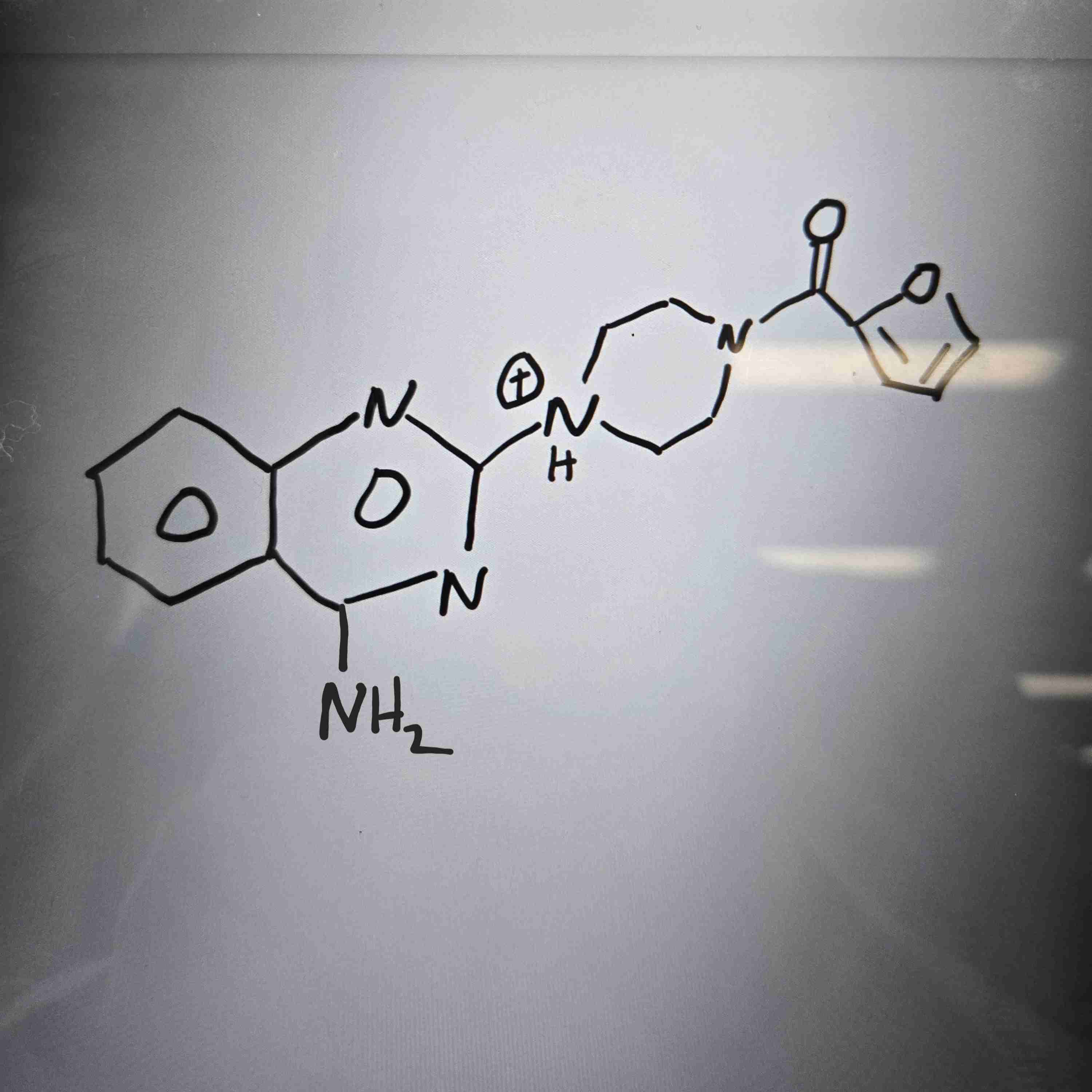 <p>alpha-1 receptor antagonist prototype </p>