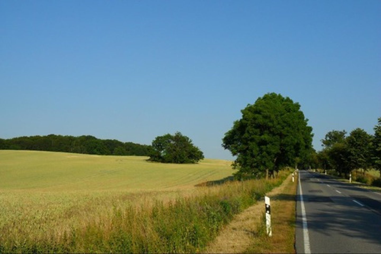 <p>місцевість, район</p>