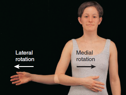 <ul><li><p><strong>Medial rotation</strong> = anterior aspect rotating <strong>towards</strong> the midline</p></li><li><p><strong>Lateral rotation</strong> = anterior aspect rotating <strong>away</strong> from the midline</p></li></ul><p></p>