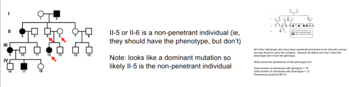 <ul><li><p><span style="font-family: &quot;Helvetica Neue&quot;, sans-serif">Individuals do not express trait even though they have the appropriate genotype</span></p></li><li><p><span style="font-family: &quot;Helvetica Neue&quot;, sans-serif">100% penetrant trait = All affected have it</span></p></li><li><p><span style="font-family: &quot;Helvetica Neue&quot;, sans-serif">Non-penetrant trait = None that are affected have it</span></p></li></ul><p></p>