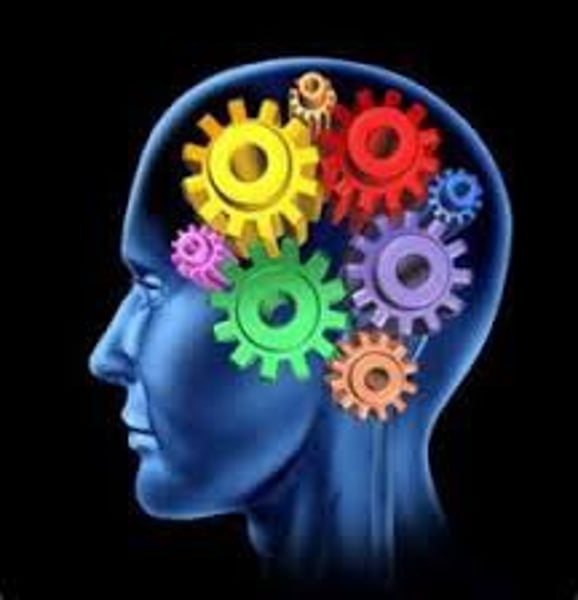 <p>all the mental activities associated with thinking, knowing, remembering, and communicating</p>