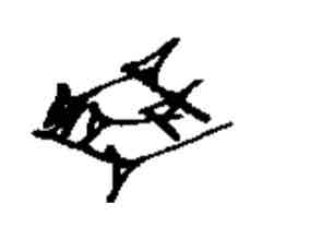 term image