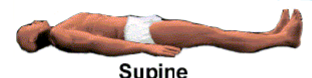 <p>Lying facing up</p>