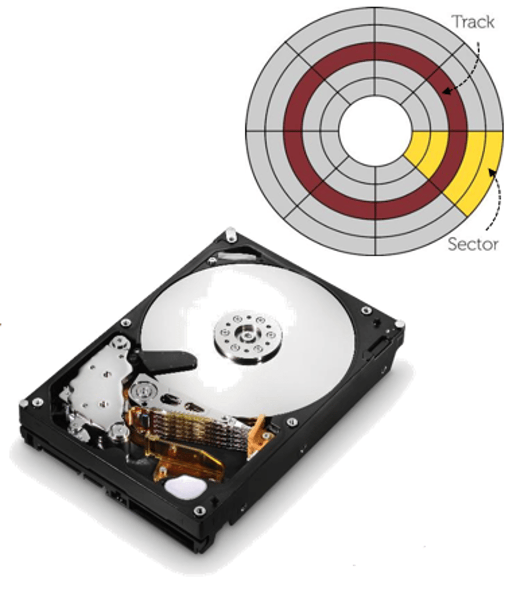 <p>The OS manages where files are written to on secondary storage device.</p>