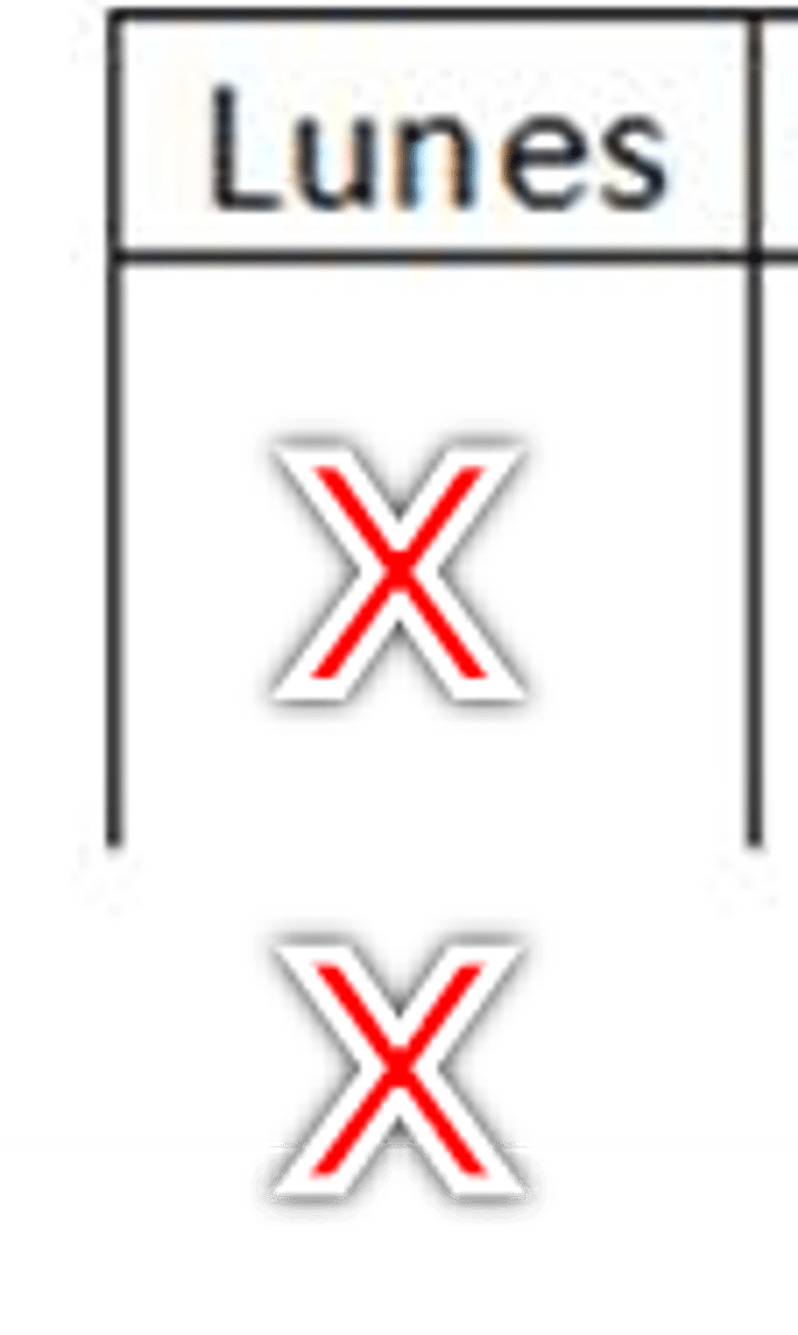 <p>two times a day</p>