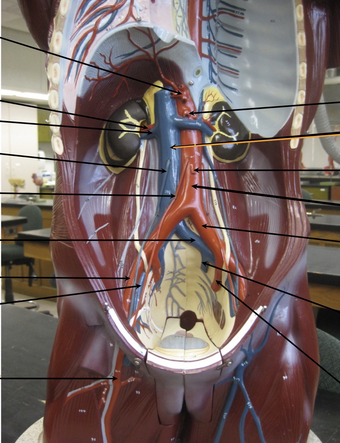 knowt flashcard image