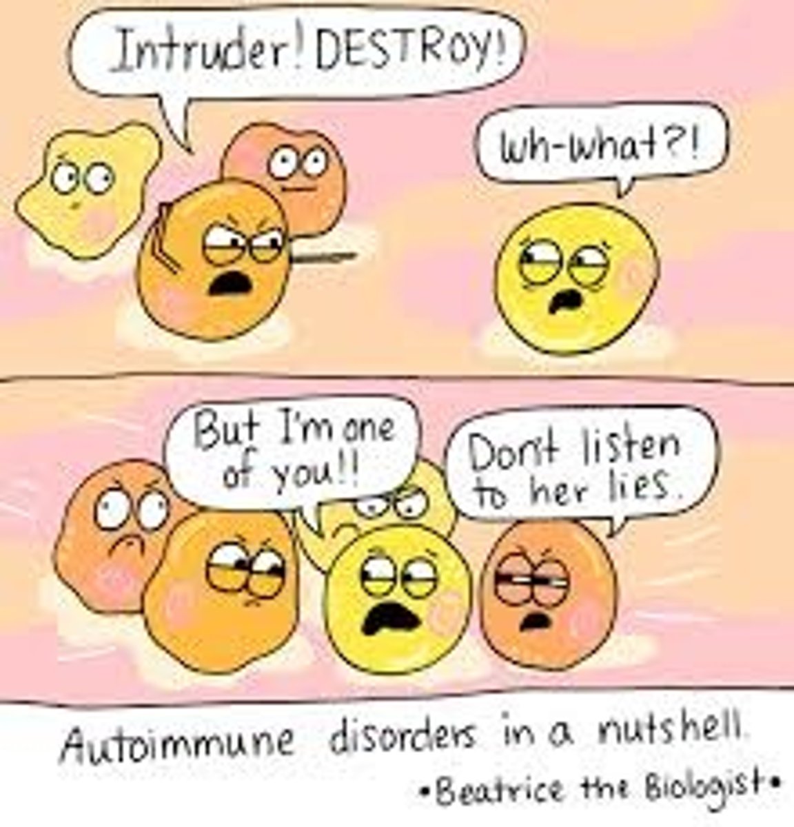 <p>immune reaction directed against a person's own tissue (e.g. MS, Lupus)</p>