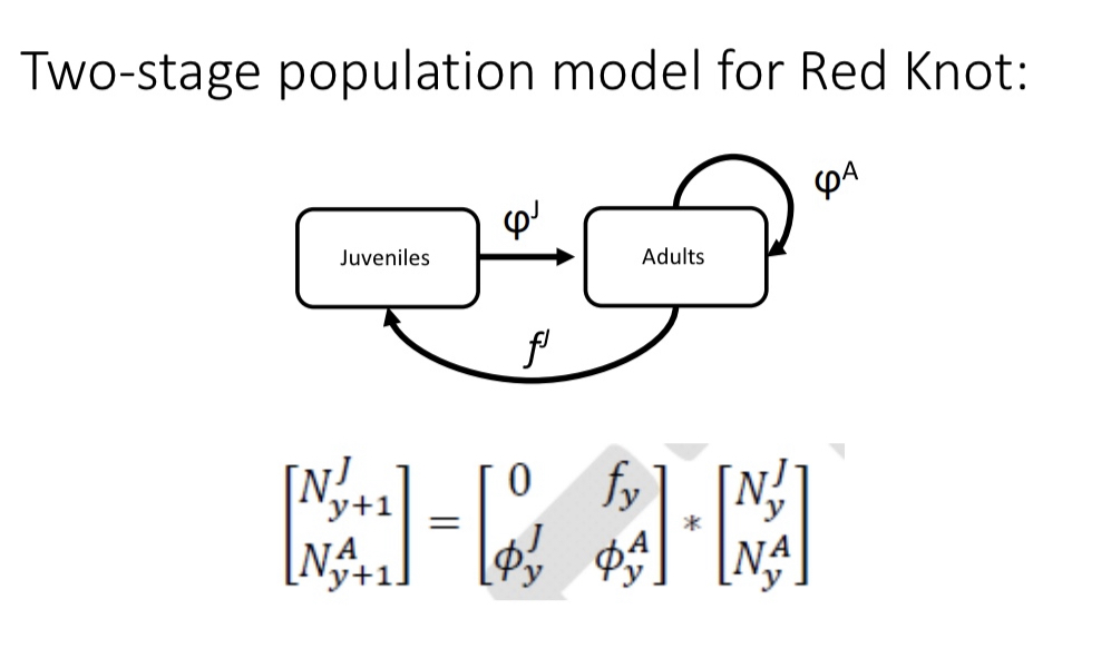 cub --\> yearling --\> SA1 --\> SA2 --\> SA3 --\> Adult

we will be able to understand processes that regulate this population
