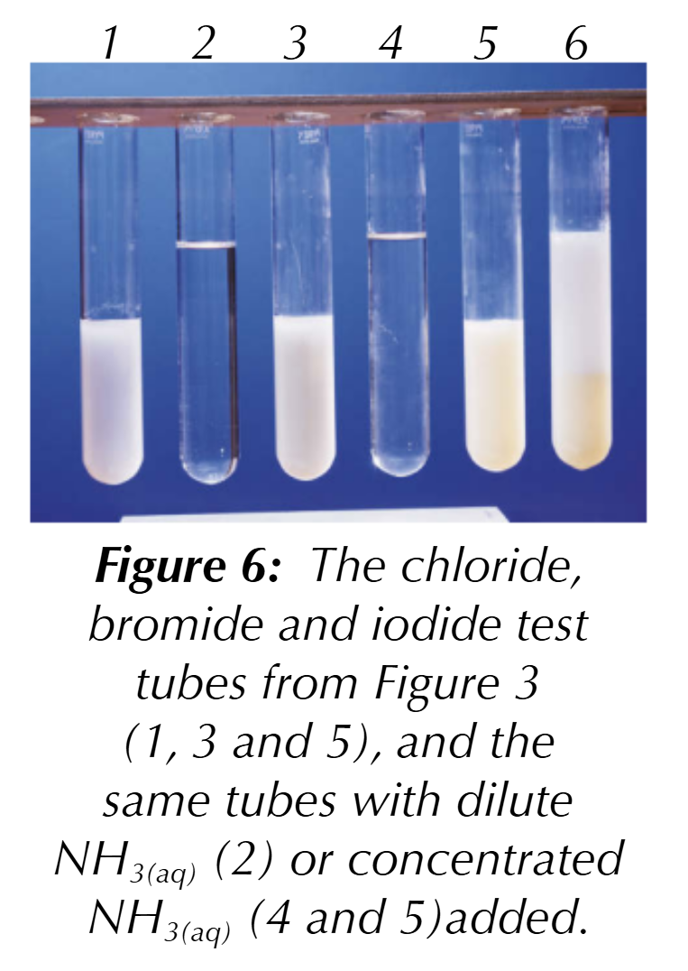<ul><li><p>Chloride Cl<sup>-</sup> → precipitate dissolves in both dilute &amp; concentrated NH<sub>3 </sub>(most soluble)</p></li><li><p>Bromide Br<sup>- </sup>→ precipitate only dissolves in concentrated NH<sub>3</sub></p></li><li><p>Iodide I<sup>-</sup> → precipitate is insoluble in concentrated NH<sub>3 </sub>(least soluble)</p></li></ul><p></p>